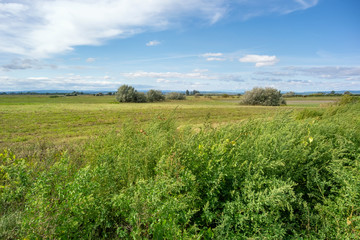 Fototapeta premium Landscape around Illmitz in Austria