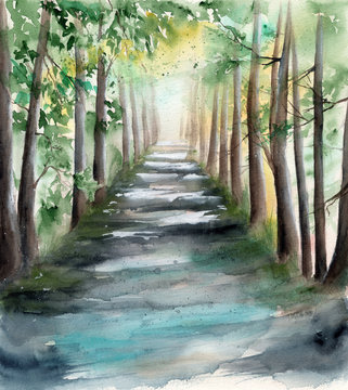   Watercolor picture of a sunlit  forest alley with tree shadows  and spots of light