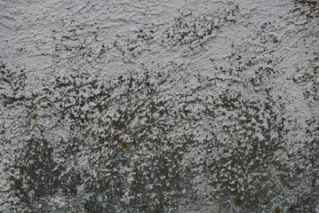 gray stone background from a concrete dirty old wall