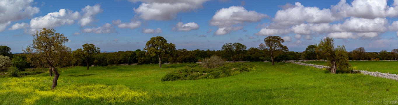Panoramica Murgia Barese Puglia Italia