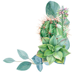 greeting card, eucalyptus leaves, succulent echeveria, cactus, watercolor, hand drawing
