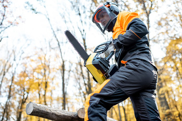 Professional lumberjack in protective workwear working with a chainsaw in the forest. Woodcutter...