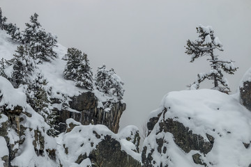 Paysage d' hiver dans les Alpes , en forêt à Chamrousse en Isère , chaîne de Belledonne
