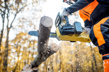 Professional lumberjack sawing wooden logs with a chainsaw, close-up view with a sawdust