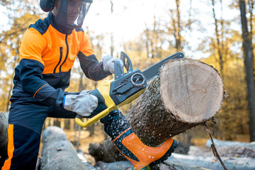 Professional lumberjack in protective workwear working with a chainsaw in the forest, sawing a thick wooden log