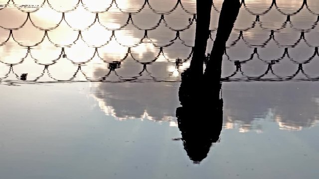 roma italia, belvedere del pincio, controluce