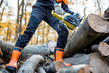 Professional lumberjack in protective workwear working with a chainsaw in the forest, sawing wooden...