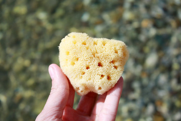 Sea sponge in the hand in sea water on the beach background. 