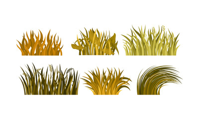Set Of Different Tufts Of Yellow And Brown Grass Vector Illustration
