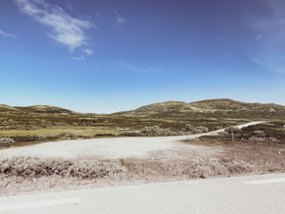 Mondlandschaft oberhalb der Baumgrenze in Norwegen