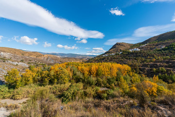 Photo of the Alcolea River as it passes through Lucainena