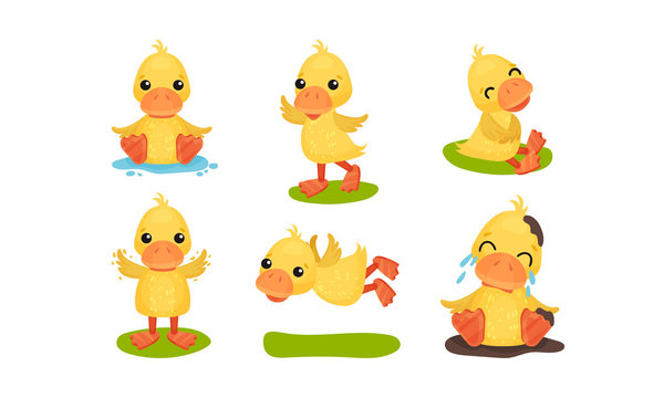 Cute Yellow Ducks In Different Poses Vector Illustration Set Cartoon Character