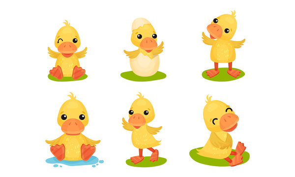 Cute Set With Yellow Ducks In Different Poses Vector Illustration Cartoon Character