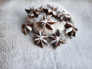 chocolate chip cookies in powdered sugar and star anise Christmas decor