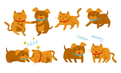Set With Different Relationship Between Dogs And Cats Vector Illustration Cartoon Character