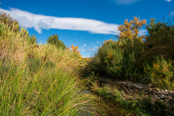 Photo of the Alcolea River as it passes through Lucainena