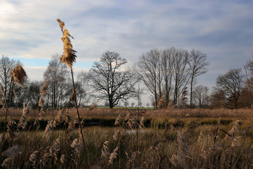 niedermoor landschaft