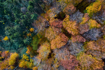 Deutscher Wald im Herbst von oben 