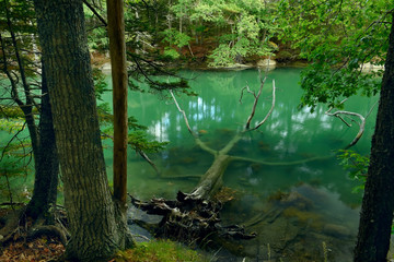 A lake with rocky shores and bright green water among the forest. USA. Maine