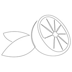 Orange fruit illustration. One continuous line minimal style. Vector