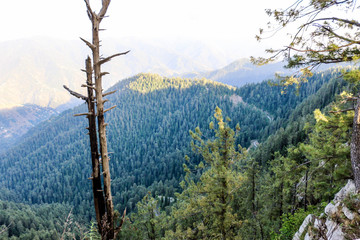 Thandiani is a hill station in the Galyat area of Khyber Pakhtunkhwa the Province of Pakistan.