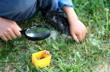 boy with magnifying glass ready to explore the garden stock photograph stock photo