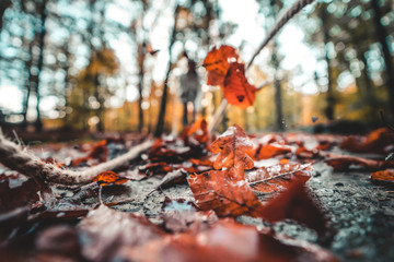 Girl whipping up leaves with a rope