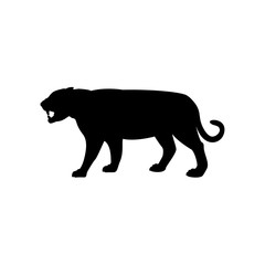 Silhouette of Tiger. Animal feline wildlife.
