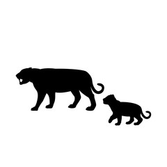 Silhouette of tiger and young tiger cub