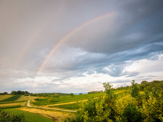 Obraz premium Rainbow at vineyards on a hill in Burgenland Austria