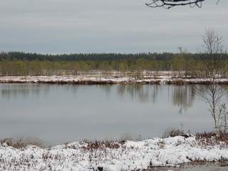 Beautiful lake in a pine forest at the beginning of winter