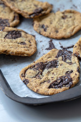 cookies chocolate chip vegan no amimal products plant based diet