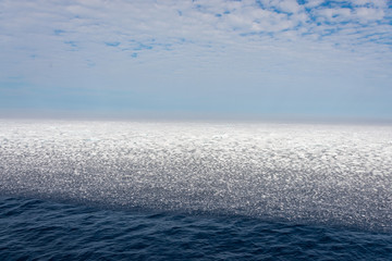 Arctic landscape - sea surface with ice floe