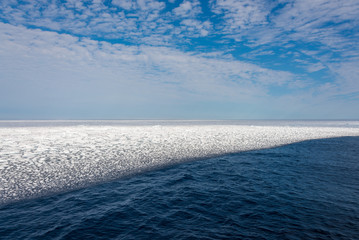 Arctic sea with ice edge