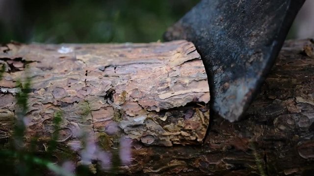 Chopping wood slow motion. Worker chopping wood outdoors.