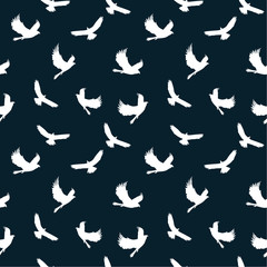  Seamless pattern: white silhouettes of birds on a dark background. vector. illustration