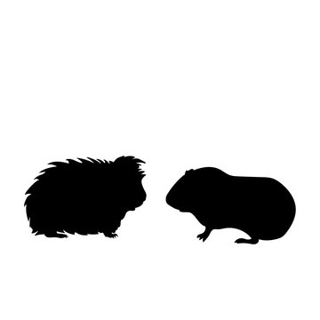 black guinea pig silhouettes on white clip art preview