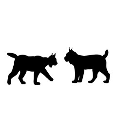 Silhouette of two lynxes. Animals feline family.