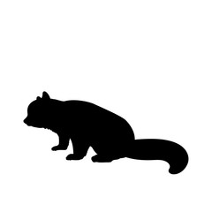 Silhouette little red Panda. Animal feline bear panda family
