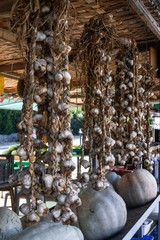 Bunches of garlic hanging over a farmer's market counter.
