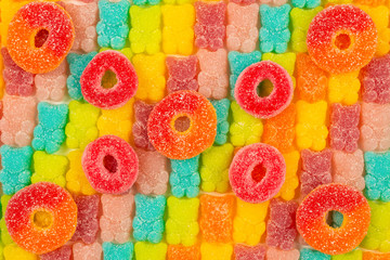 Jelly sweats bears rainbow pattern. Top view.