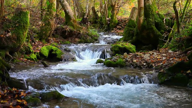 tranquil mountain river stream in forest urach schwäbische alb germany