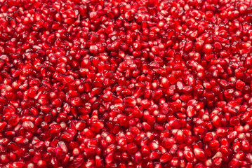 Christmas decoration, red ball isolated on white background.