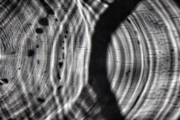 closeup of a background