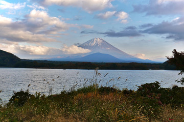 Mount Fuji in the corner of Lake Kawuguchi. In the afternoon, the weather is cool. Important tourist attractions in Japan