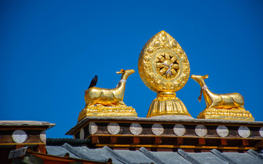 Rooftop statues of two golden deer and Dharma wheel in Tibetan Temple 