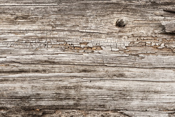 eroded wood surface, grunge wooden texture may used as backgorund