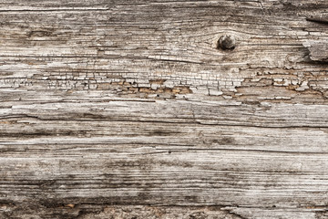 Fototapeta premium eroded wood surface, grunge wooden texture may used as backgorund