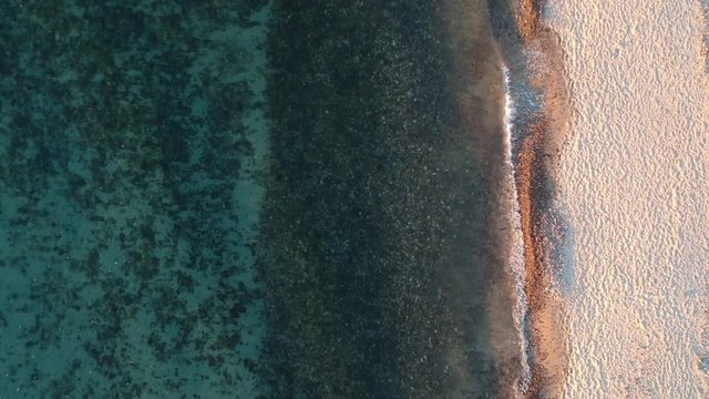 Hallett Cove Conservation Park Adelaide South Australia