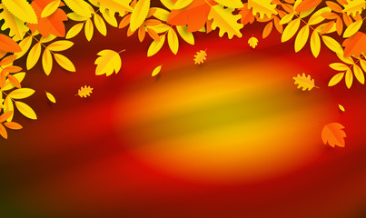 Naklejka na ściany i meble Autumn Foliag fall background